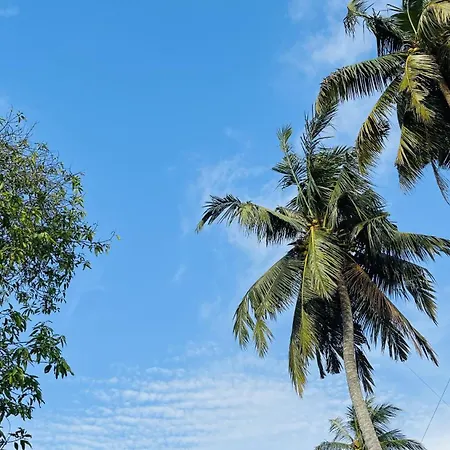 Jilan Homestay Bentota Exterior photo